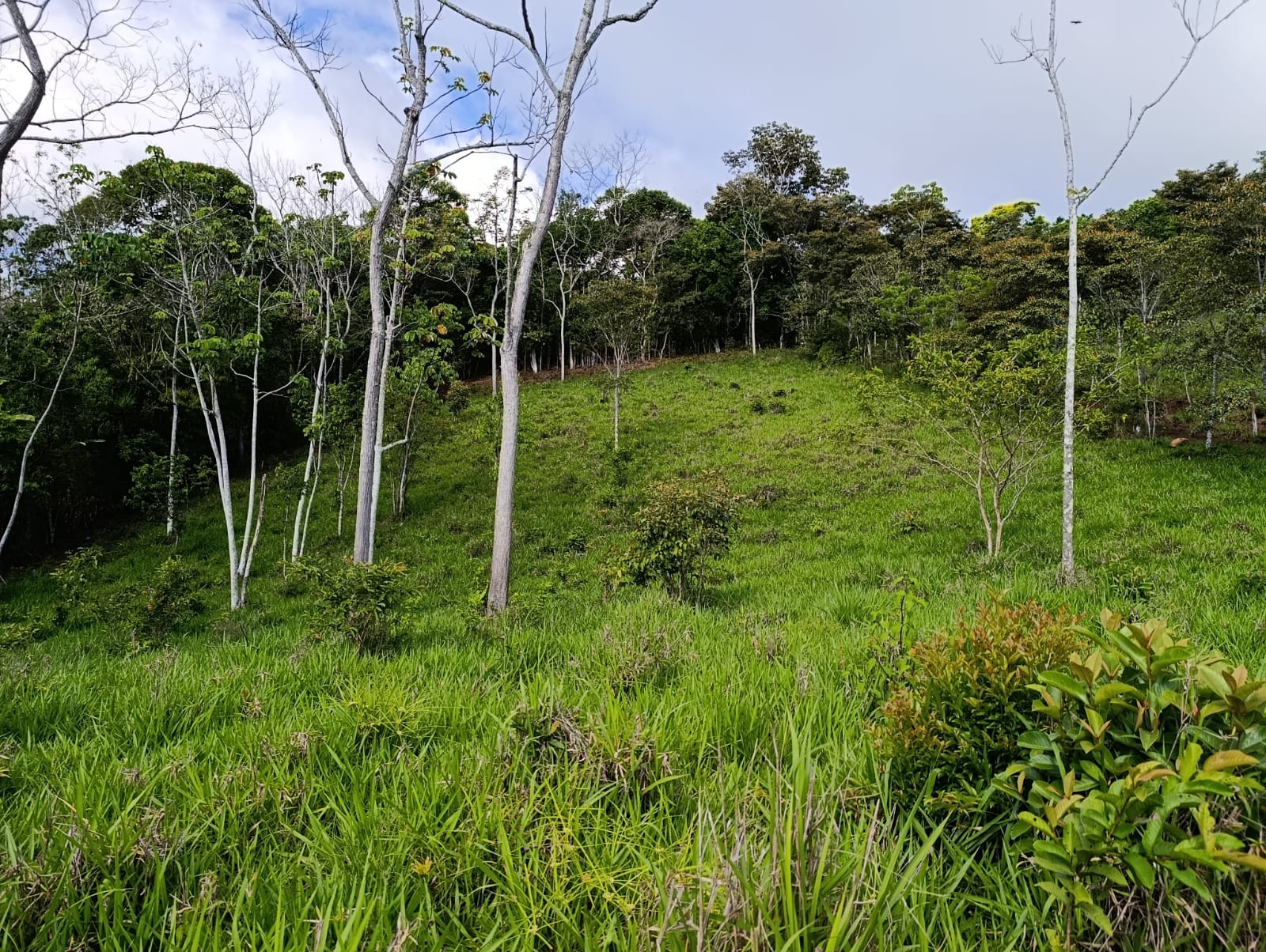 Costa Rica Mountain Property with Year-Round Creek, Forest & Stunning Mountain Views – 3.29 Acres Near San Isidro, Pérez Zeledón