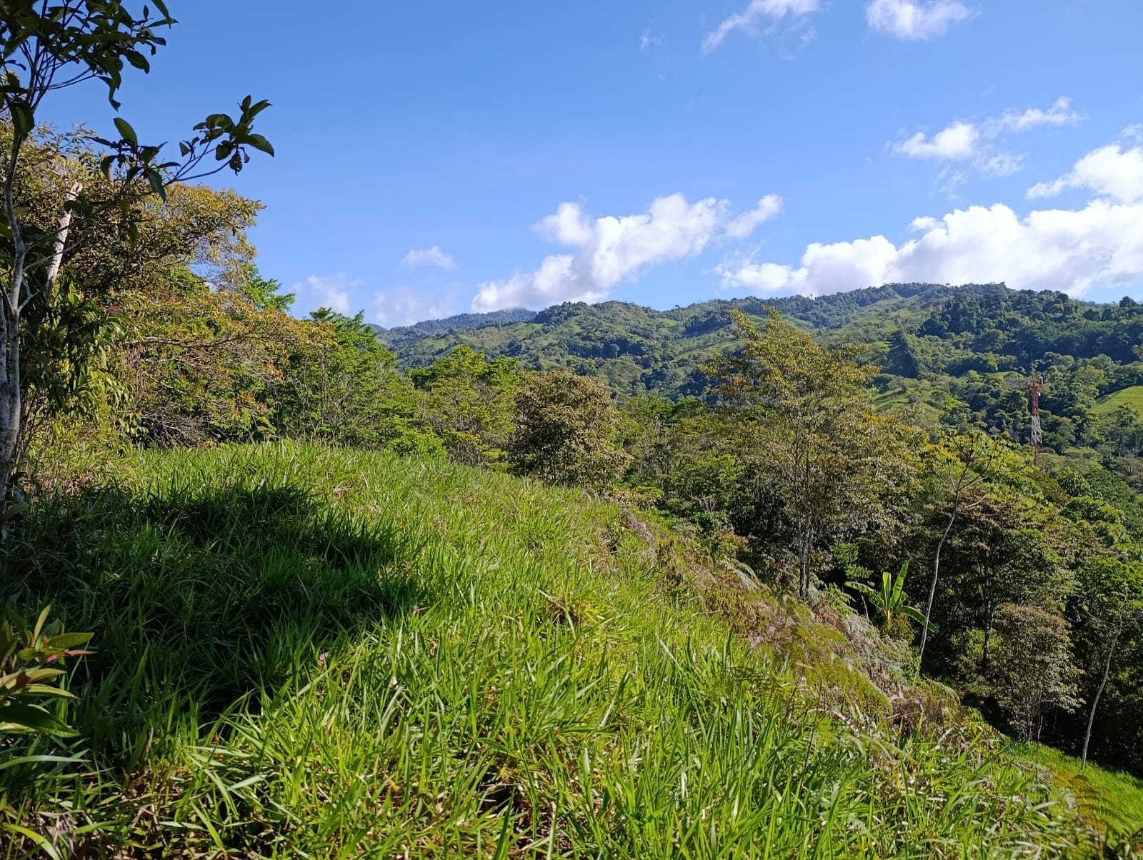 Costa Rica Mountain Property with Year-Round Creek, Forest & Stunning Mountain Views – 3.29 Acres Near San Isidro, Pérez Zeledón