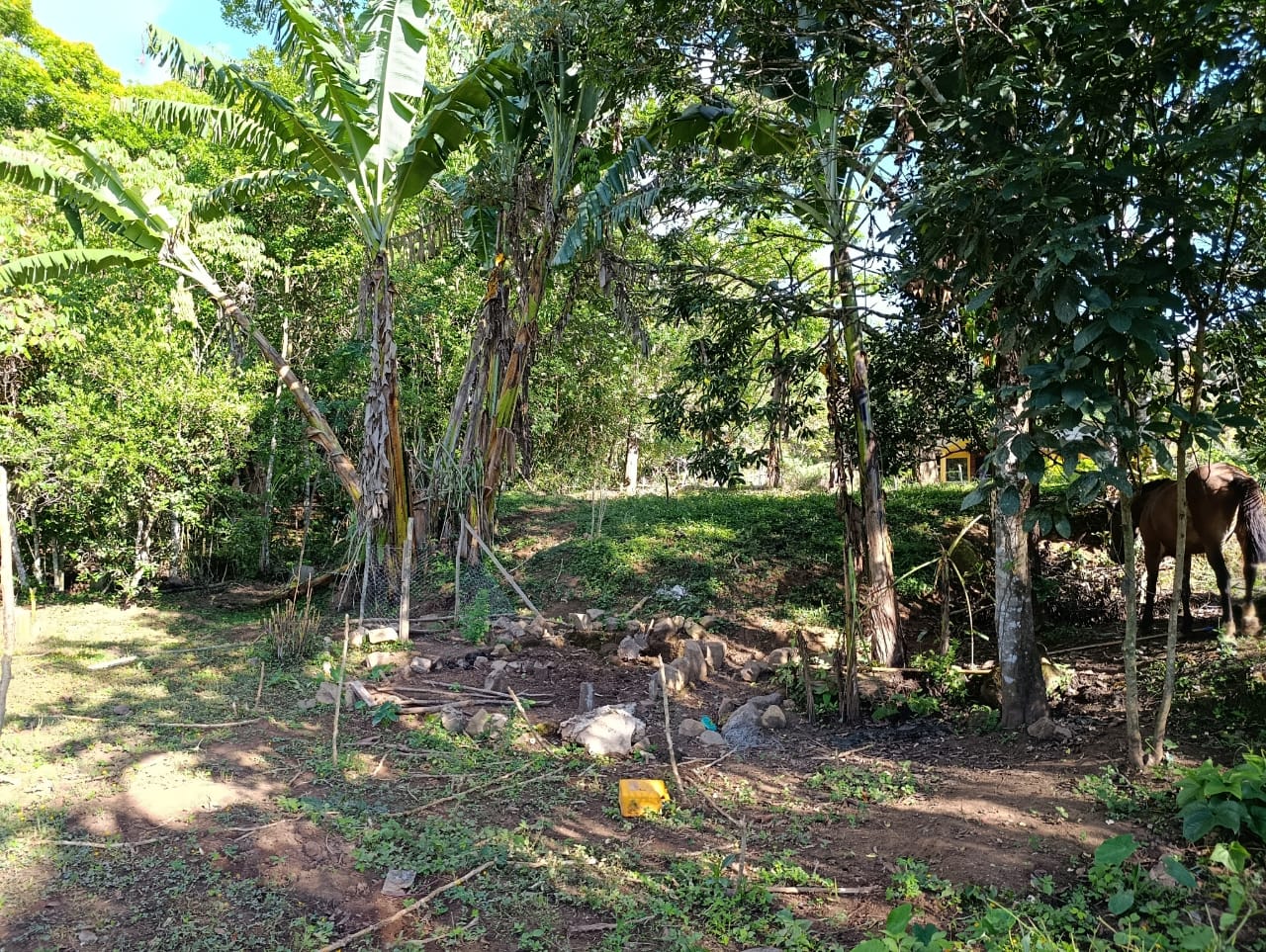 Costa Rica Mountain Property with Year-Round Creek, Forest & Stunning Mountain Views – 3.29 Acres Near San Isidro, Pérez Zeledón