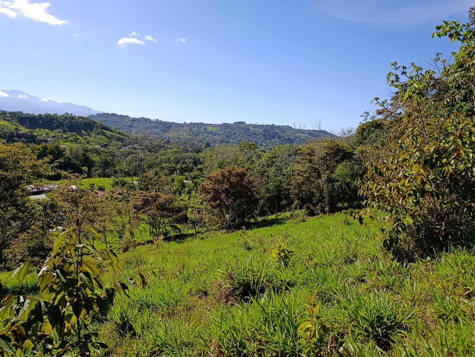 Costa Rica Mountain Property with Year-Round Creek, Forest & Stunning Mountain Views – 3.29 Acres Near San Isidro, Pérez Zeledón