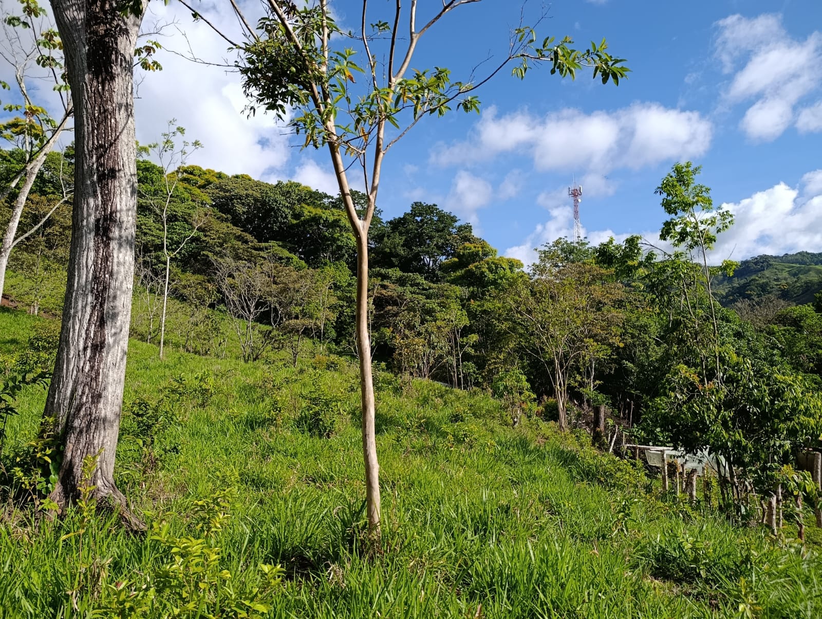 Costa Rica Mountain Property with Year-Round Creek, Forest & Stunning Mountain Views – 3.29 Acres Near San Isidro, Pérez Zeledón