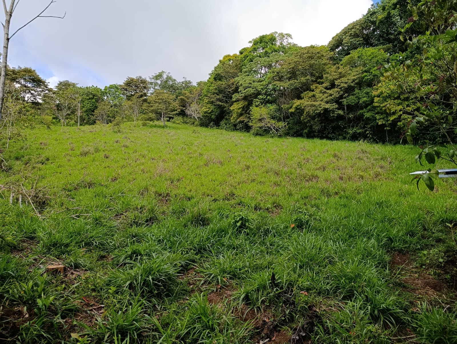 Costa Rica Mountain Property with Year-Round Creek, Forest & Stunning Mountain Views – 3.29 Acres Near San Isidro, Pérez Zeledón