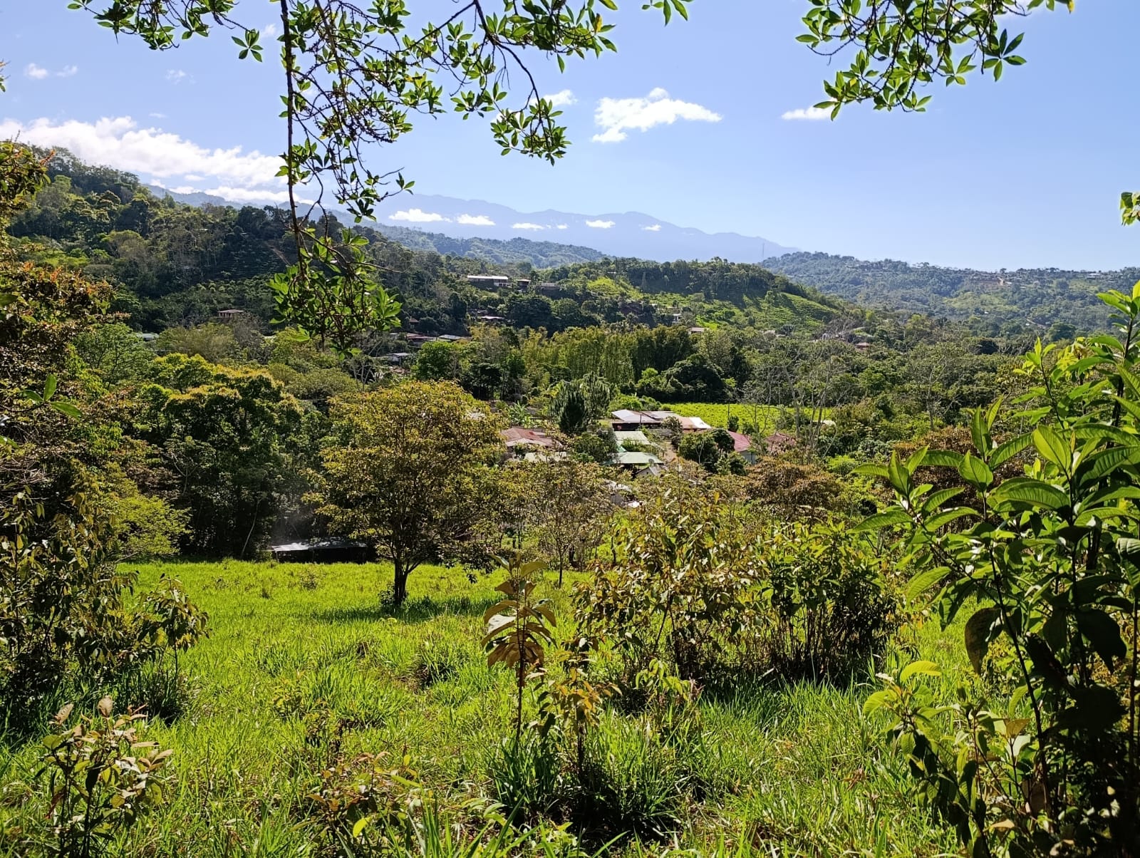 Costa Rica Mountain Property with Year-Round Creek, Forest & Stunning Mountain Views – 3.29 Acres Near San Isidro, Pérez Zeledón