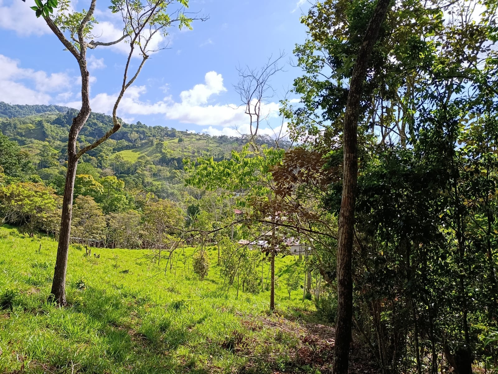 Costa Rica Mountain Property with Year-Round Creek, Forest & Stunning Mountain Views – 3.29 Acres Near San Isidro, Pérez Zeledón