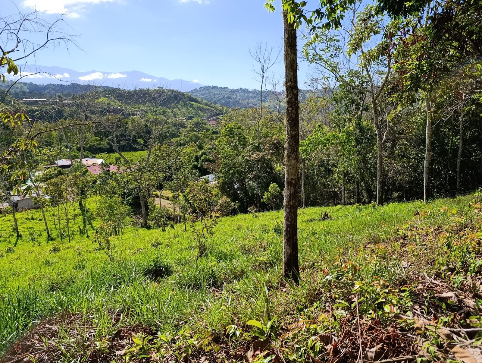 Costa Rica Mountain Property with Year-Round Creek, Forest & Stunning Mountain Views – 3.29 Acres Near San Isidro, Pérez Zeledón