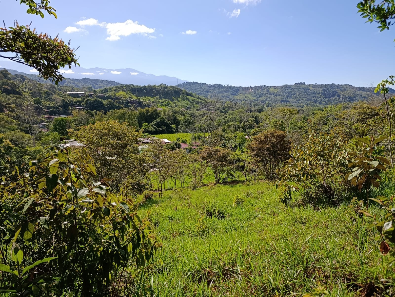 Costa Rica Mountain Property with Year-Round Creek, Forest & Stunning Mountain Views – 3.29 Acres Near San Isidro, Pérez Zeledón