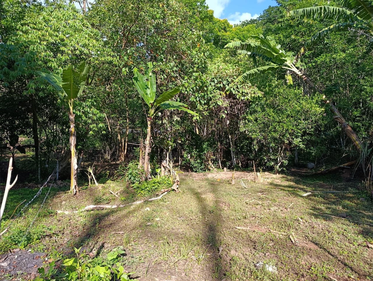 Costa Rica Mountain Property with Year-Round Creek, Forest & Stunning Mountain Views – 3.29 Acres Near San Isidro, Pérez Zeledón