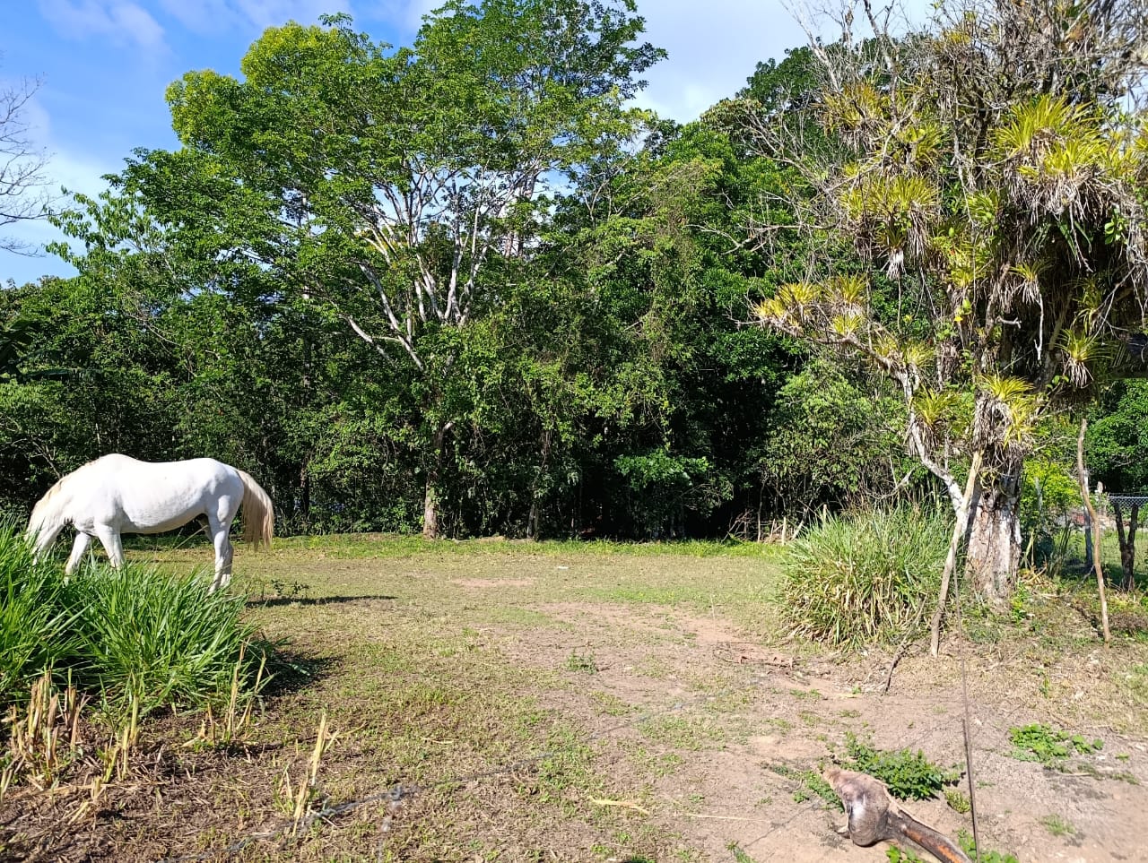 Costa Rica Mountain Property with Year-Round Creek, Forest & Stunning Mountain Views – 3.29 Acres Near San Isidro, Pérez Zeledón
