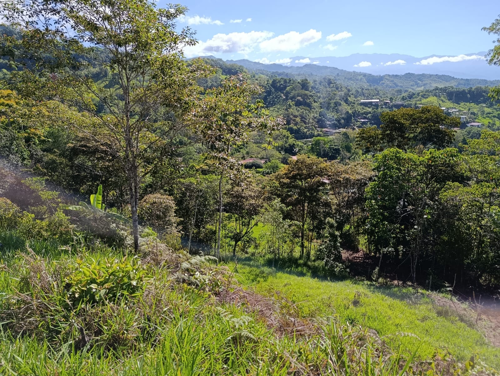 Costa Rica Mountain Property with Year-Round Creek, Forest & Stunning Mountain Views – 3.29 Acres Near San Isidro, Pérez Zeledón