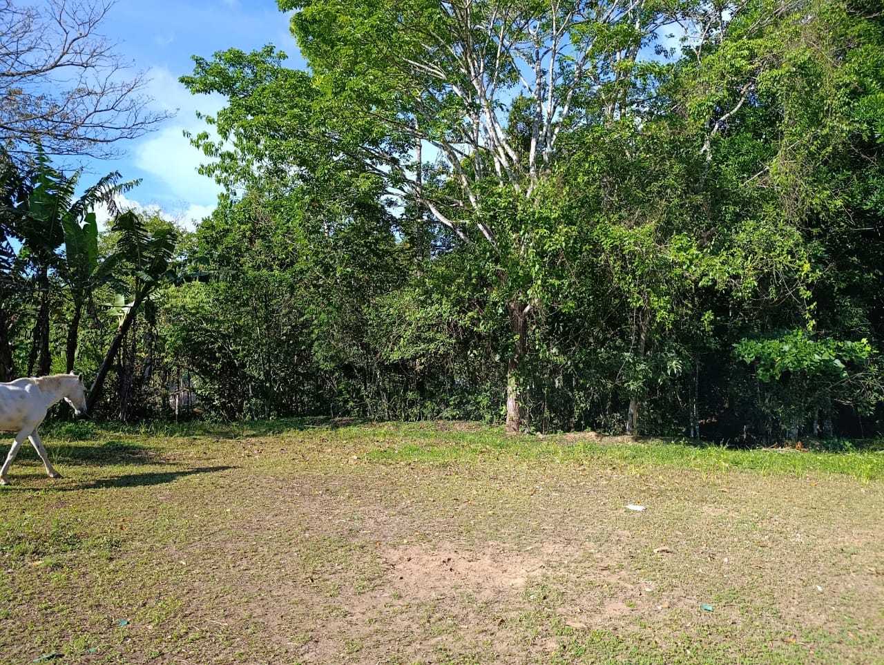 Costa Rica Mountain Property with Year-Round Creek, Forest & Stunning Mountain Views – 3.29 Acres Near San Isidro, Pérez Zeledón