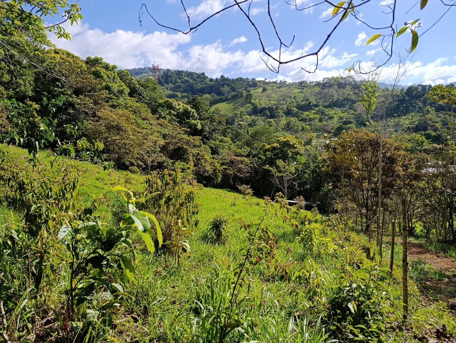 Costa Rica Mountain Property with Year-Round Creek, Forest & Stunning Mountain Views – 3.29 Acres Near San Isidro, Pérez Zeledón