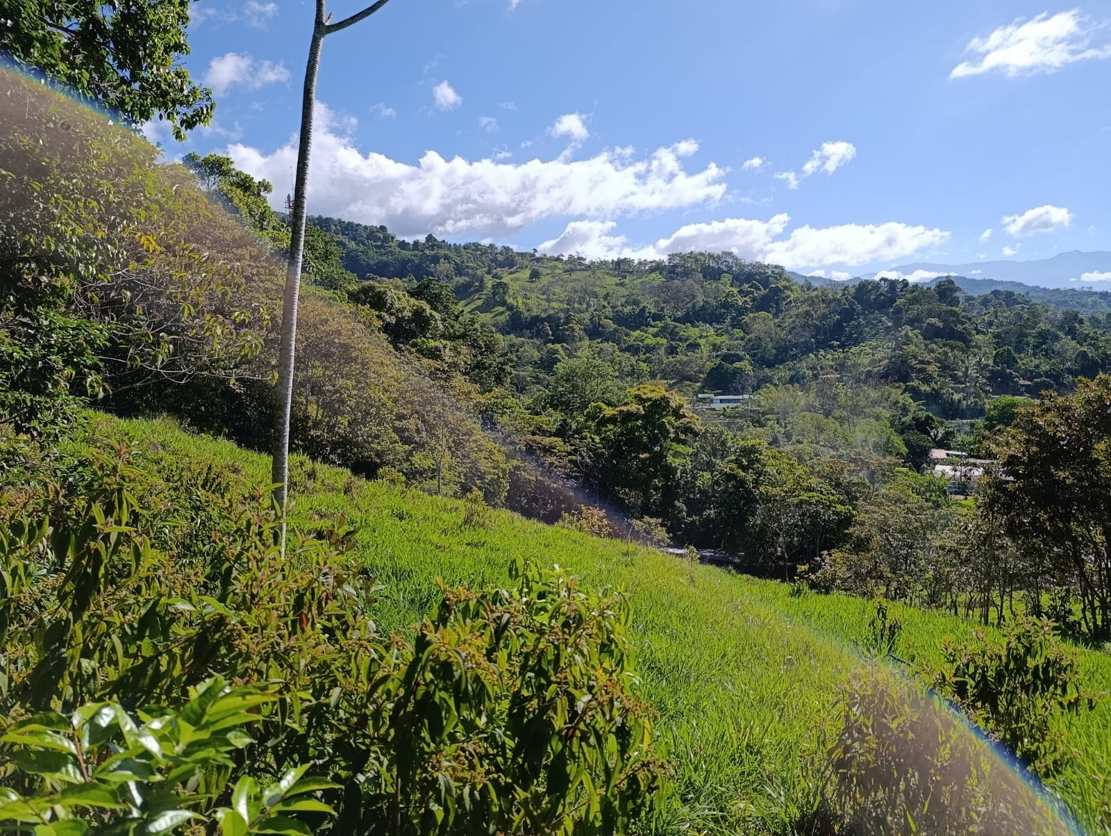 Costa Rica Mountain Property with Year-Round Creek, Forest & Stunning Mountain Views – 3.29 Acres Near San Isidro, Pérez Zeledón