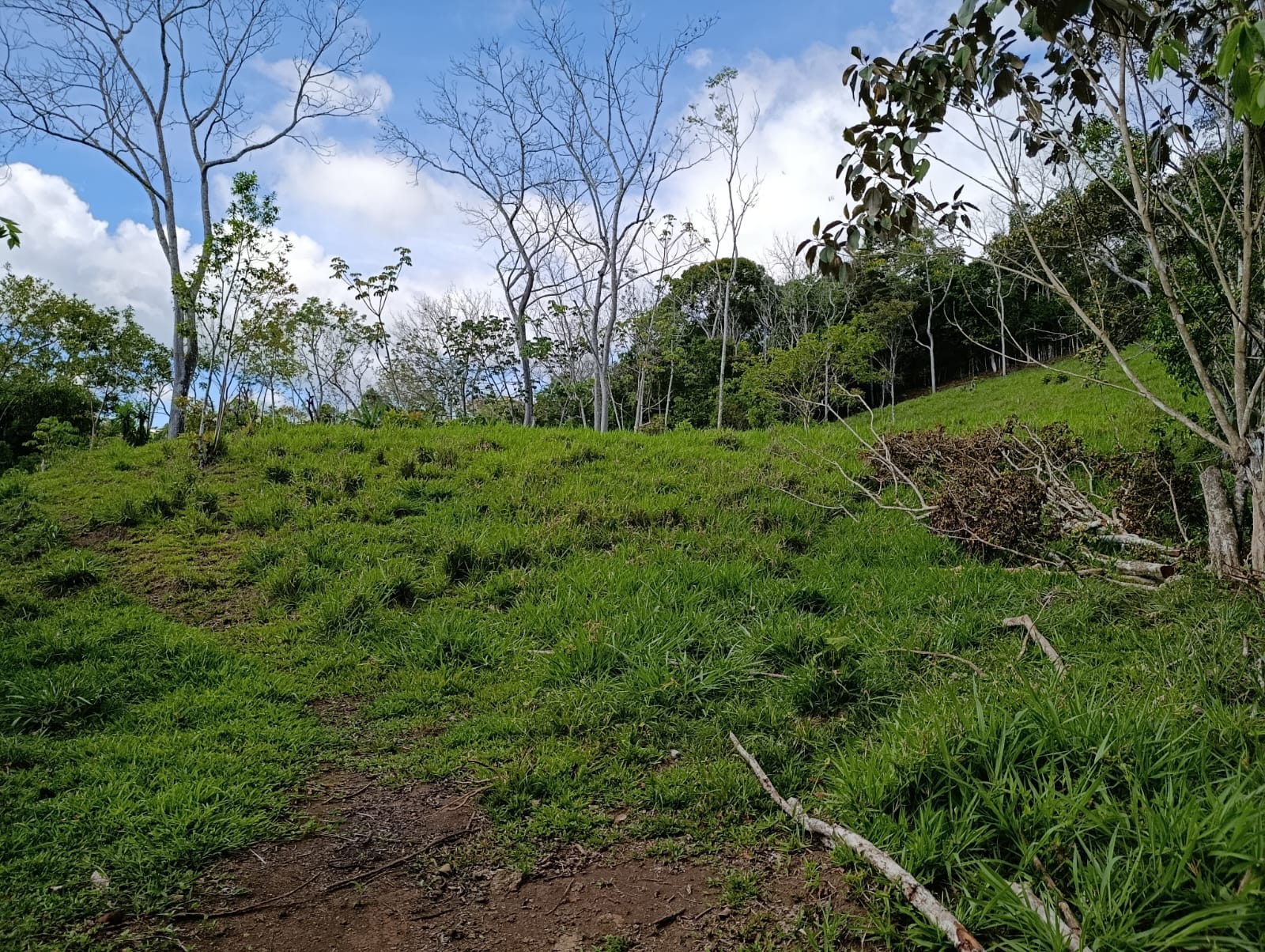 Costa Rica Mountain Property with Year-Round Creek, Forest & Stunning Mountain Views – 3.29 Acres Near San Isidro, Pérez Zeledón
