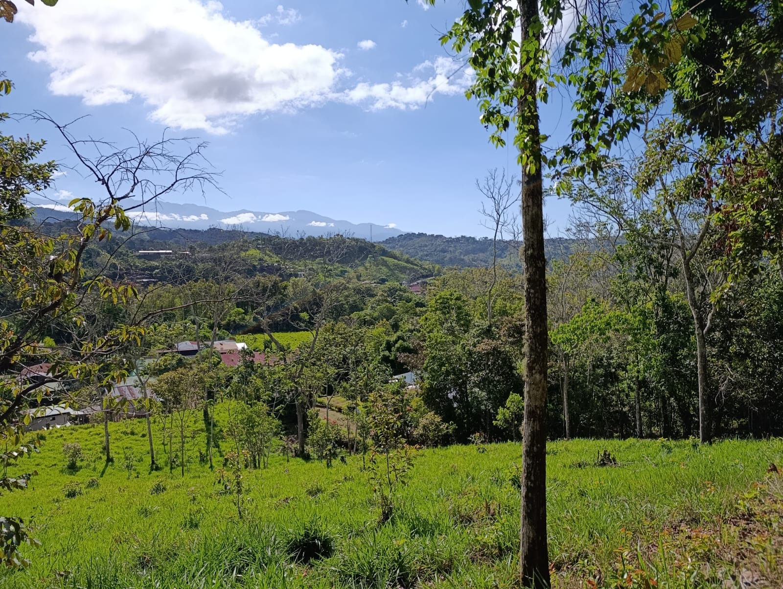 Costa Rica Mountain Property with Year-Round Creek, Forest & Stunning Mountain Views – 3.29 Acres Near San Isidro, Pérez Zeledón