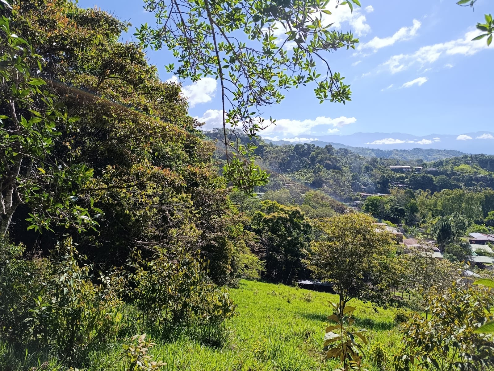 Costa Rica Mountain Property with Year-Round Creek, Forest & Stunning Mountain Views – 3.29 Acres Near San Isidro, Pérez Zeledón