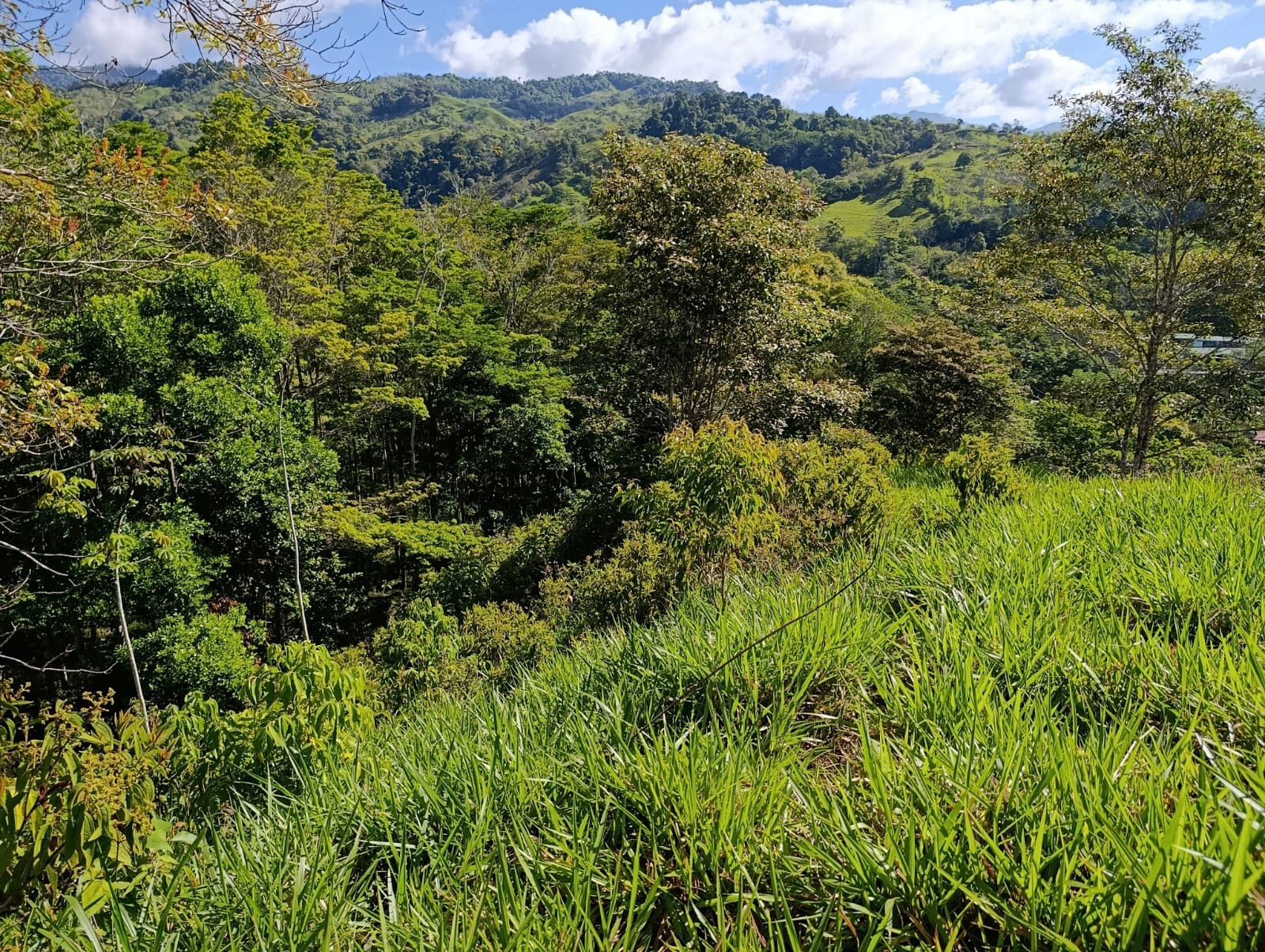 Costa Rica Mountain Property with Year-Round Creek, Forest & Stunning Mountain Views – 3.29 Acres Near San Isidro, Pérez Zeledón