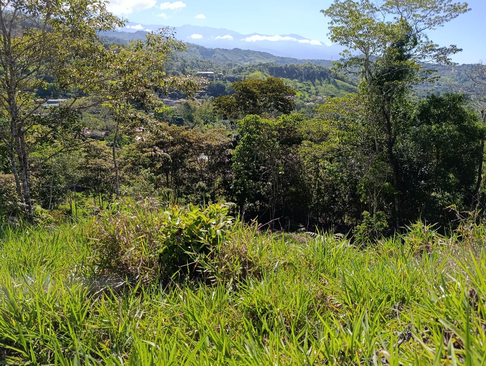 Costa Rica Mountain Property with Year-Round Creek, Forest & Stunning Mountain Views – 3.29 Acres Near San Isidro, Pérez Zeledón