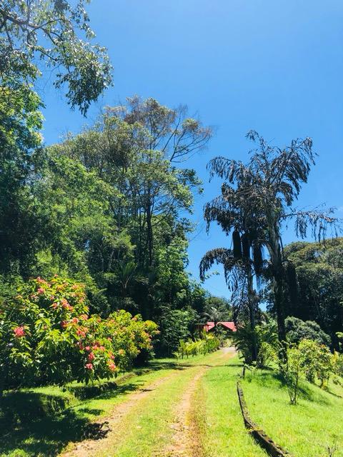 A Property Full of Character, with Two Homes near the beach in Platanillo on 3.64 acres