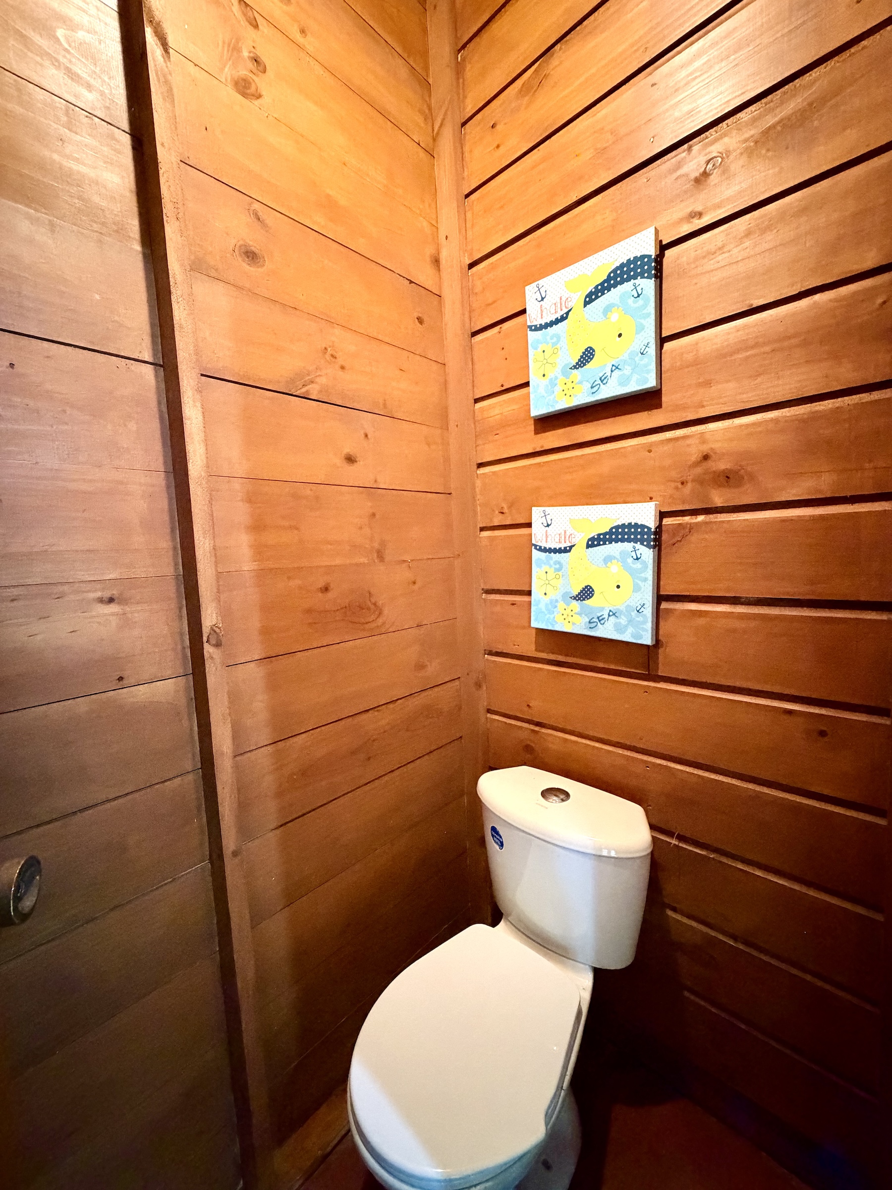 WOODEN CABIN WITH A NEARBY RIVER AND TROPICAL NATURE, IN UVITA