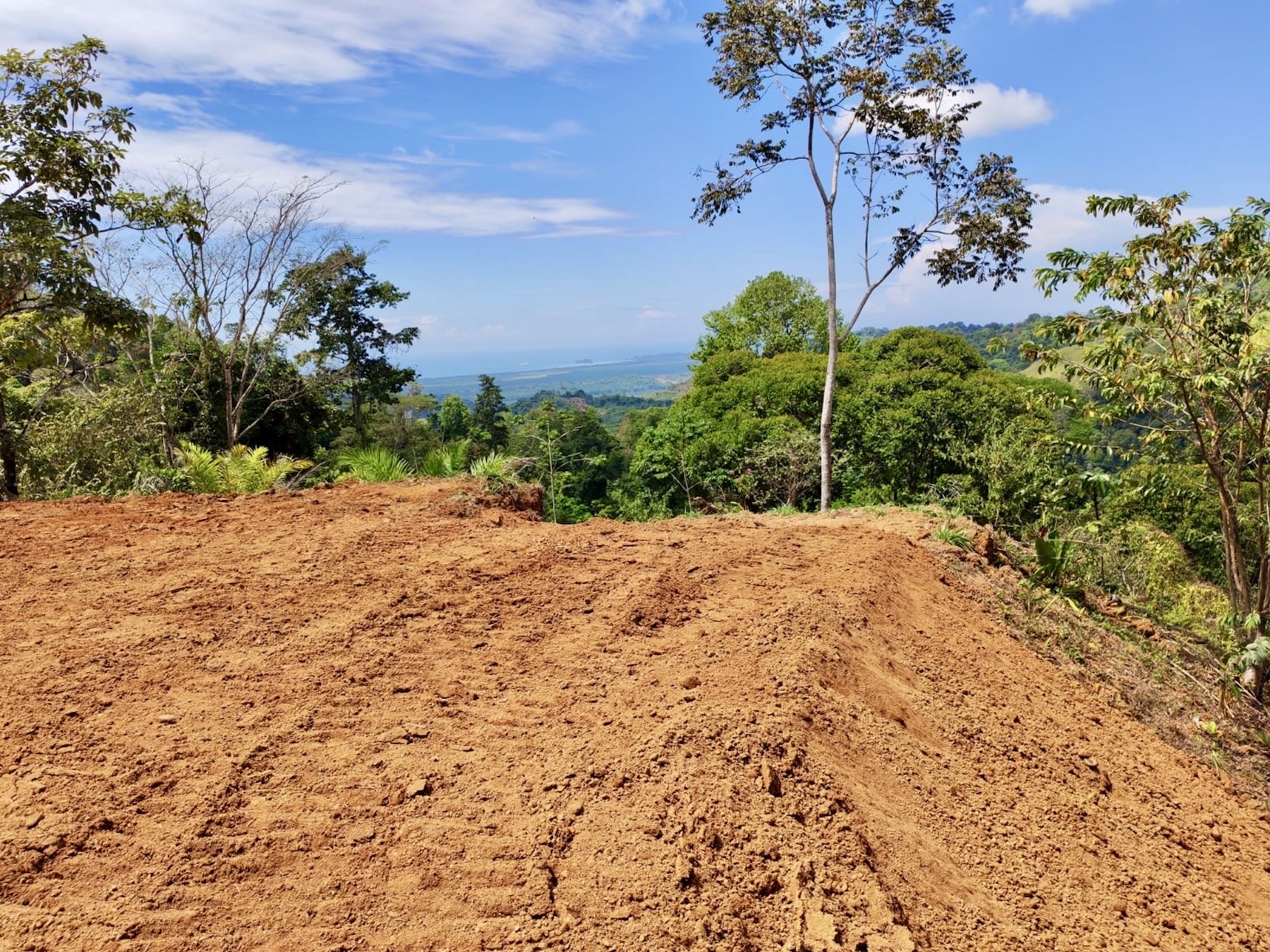 10-HECTARE PROPERTY IN THE MOUNTAINS OF SAN CRISTÓBAL DE AGUIRRE, NEAR TO SILENCIO