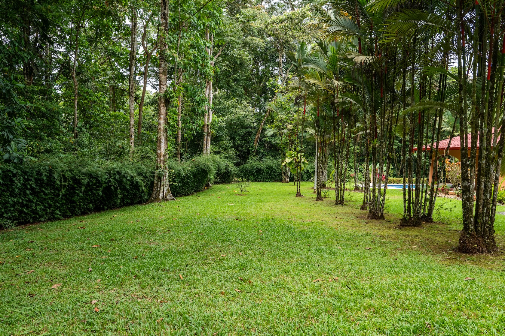 TROPICAL HOME WITH 2-BEDROOM POOL AND STREAM, IN OJOCHAL – 1.6 ACRES