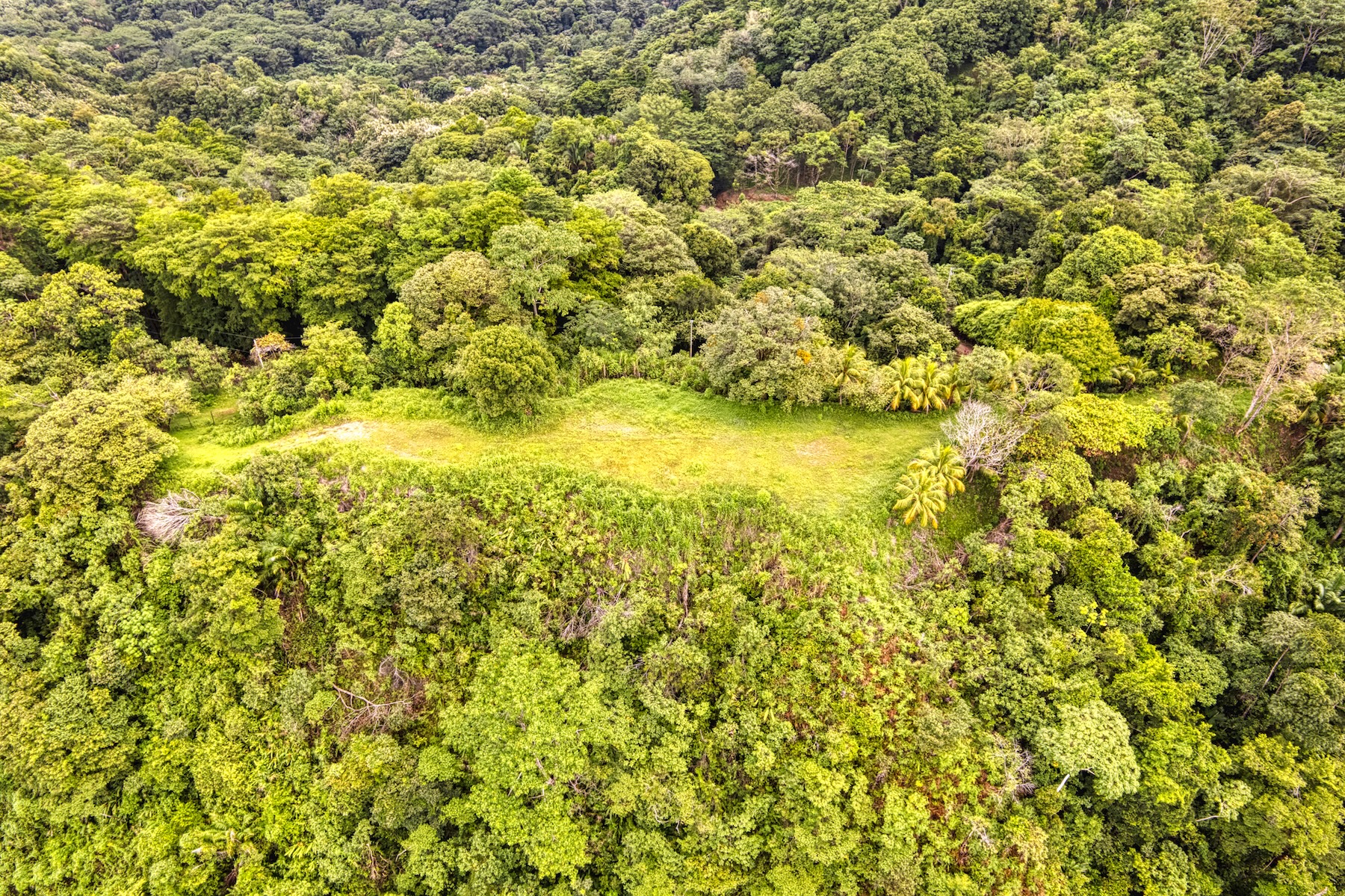 LOT 4 WITH A LARGE BUILDING AREA AND MOUNTAIN VIEWS, IN TRES RÍOS