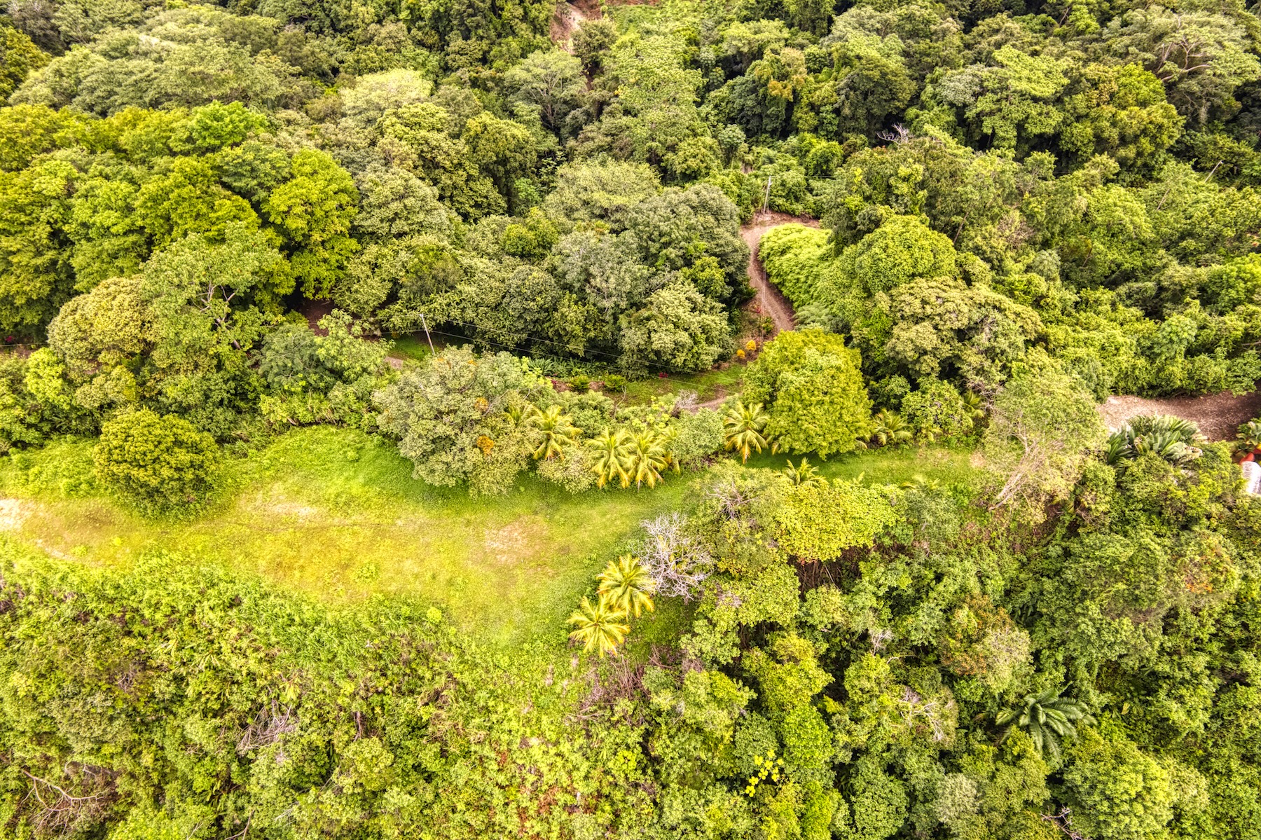 LOT 4 WITH A LARGE BUILDING AREA AND MOUNTAIN VIEWS, IN TRES RÍOS