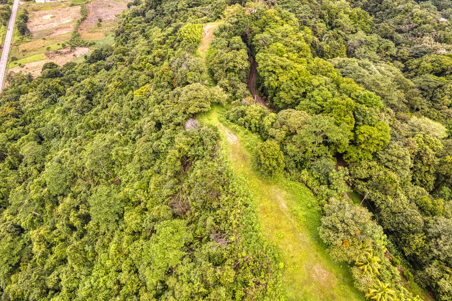 LOT 4 WITH A LARGE BUILDING AREA AND MOUNTAIN VIEWS, IN TRES RÍOS