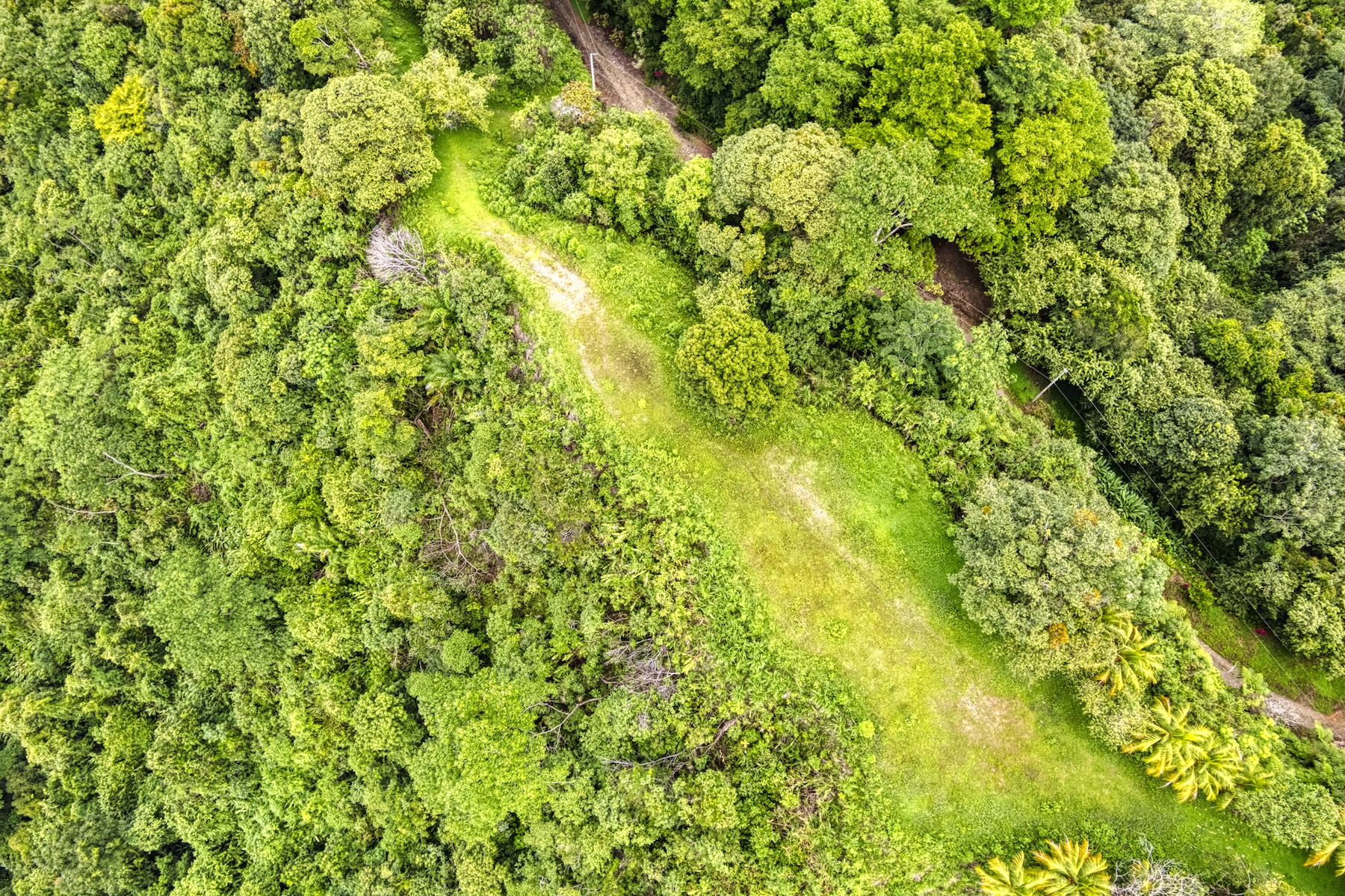 LOT 4 WITH A LARGE BUILDING AREA AND MOUNTAIN VIEWS, IN TRES RÍOS