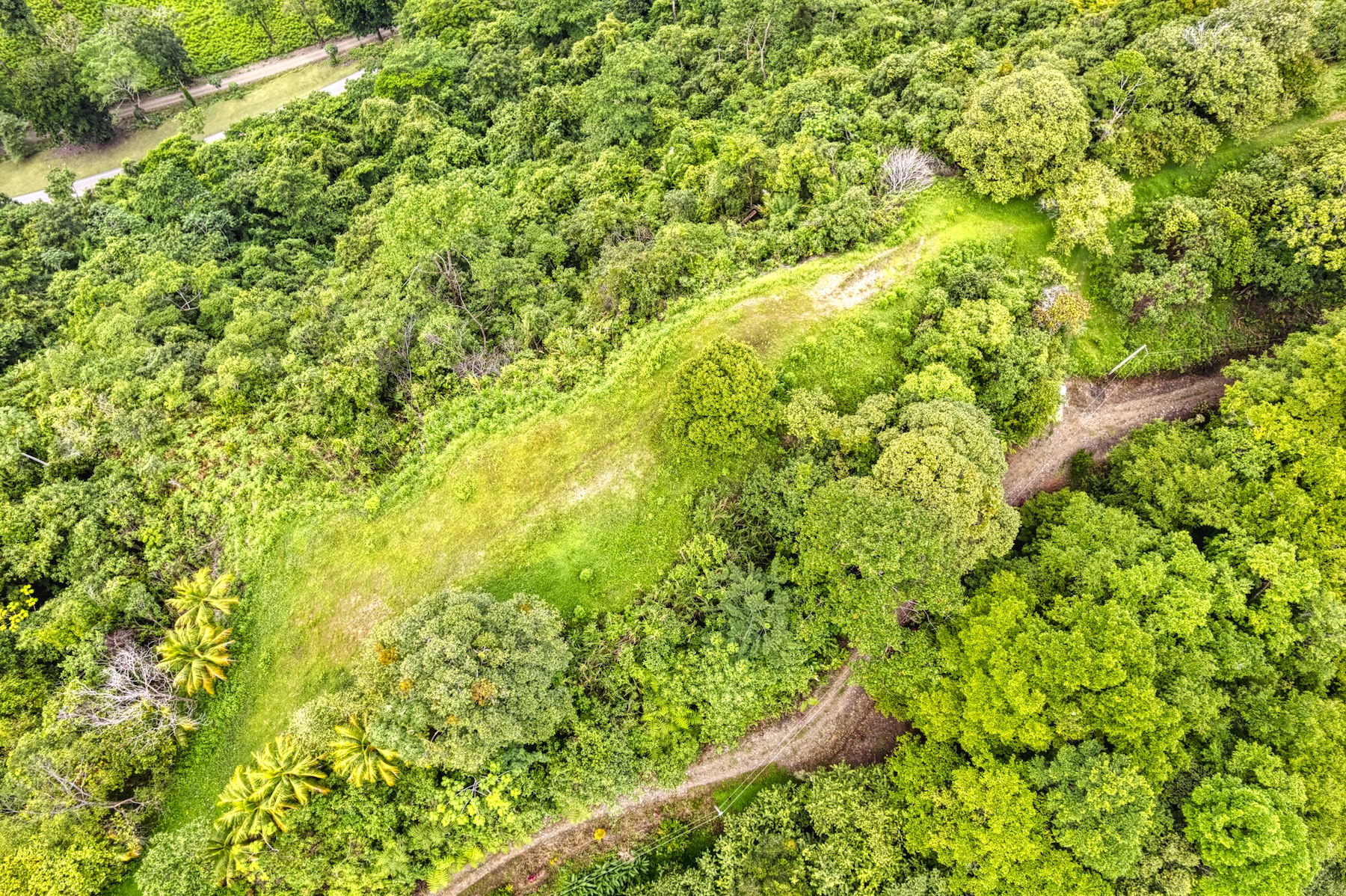 LOT 4 WITH A LARGE BUILDING AREA AND MOUNTAIN VIEWS, IN TRES RÍOS
