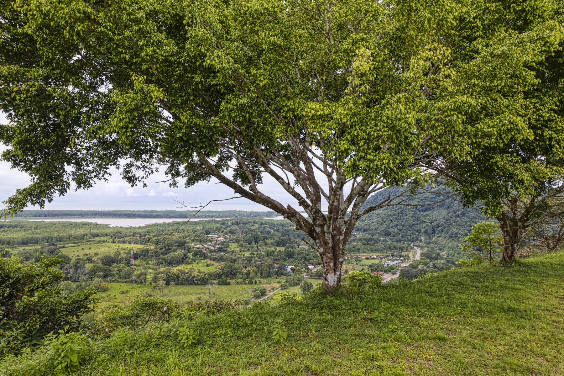 LOT 4 WITH A LARGE BUILDING AREA AND MOUNTAIN VIEWS, IN TRES RÍOS
