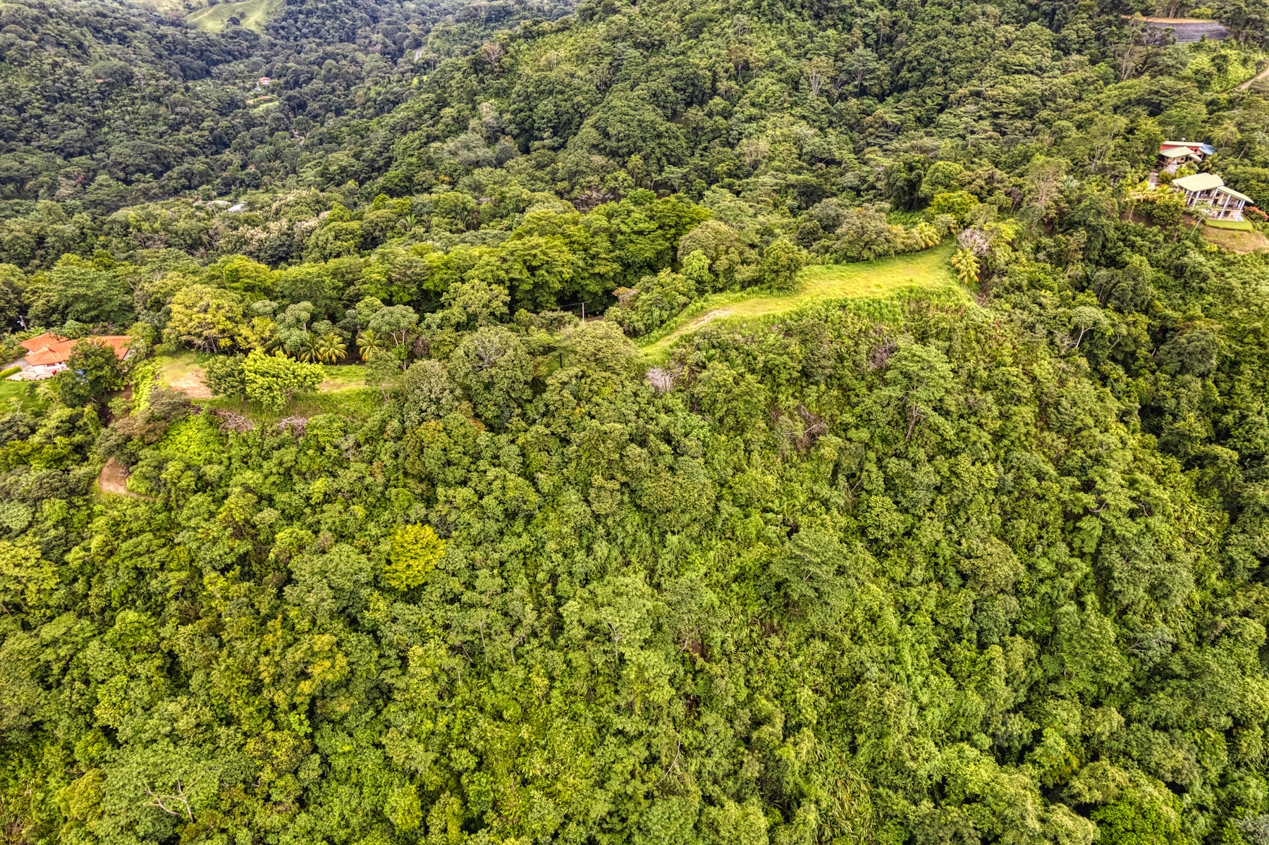 LOT 4 WITH A LARGE BUILDING AREA AND MOUNTAIN VIEWS, IN TRES RÍOS