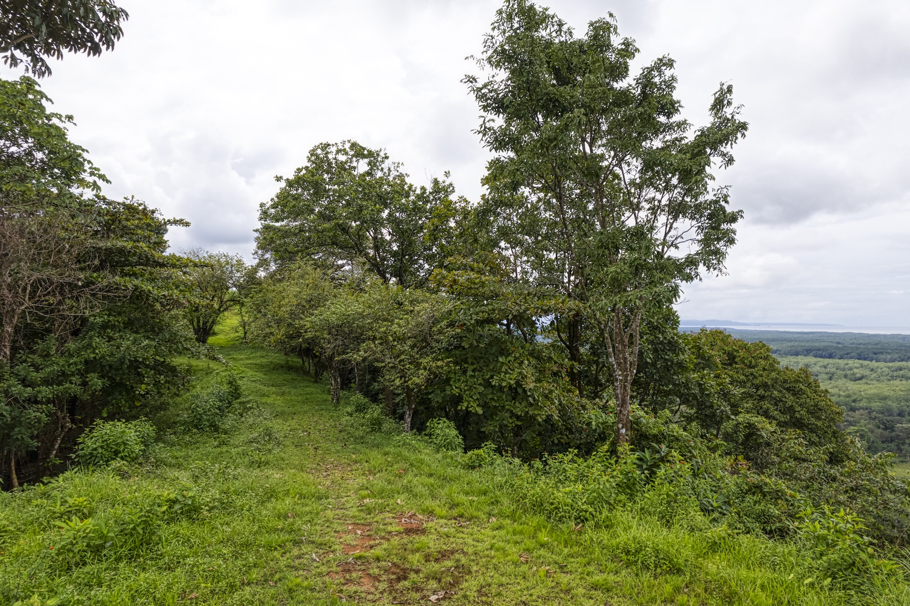 LOT 4 WITH A LARGE BUILDING AREA AND MOUNTAIN VIEWS, IN TRES RÍOS