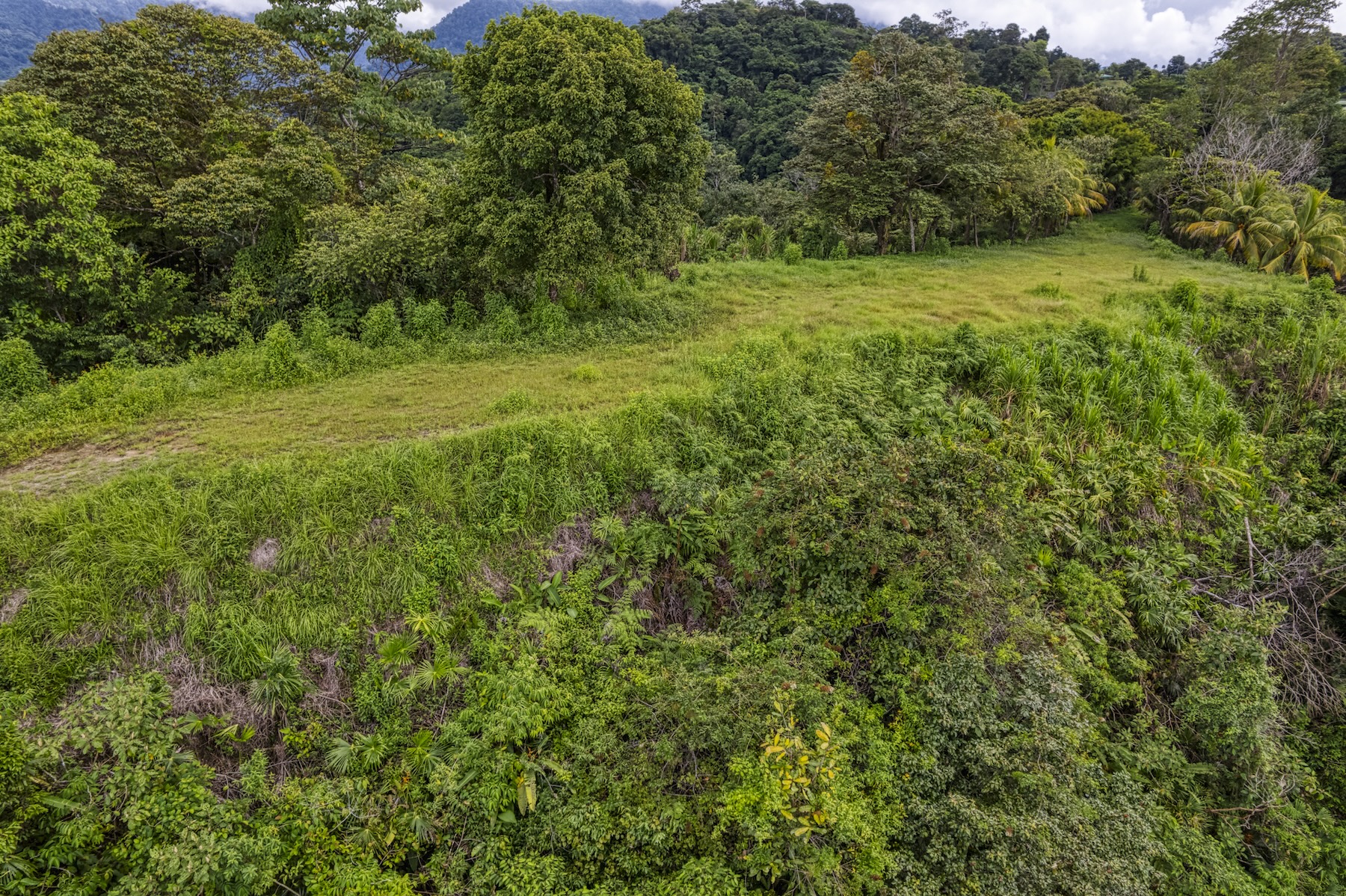 LOT 4 WITH A LARGE BUILDING AREA AND MOUNTAIN VIEWS, IN TRES RÍOS