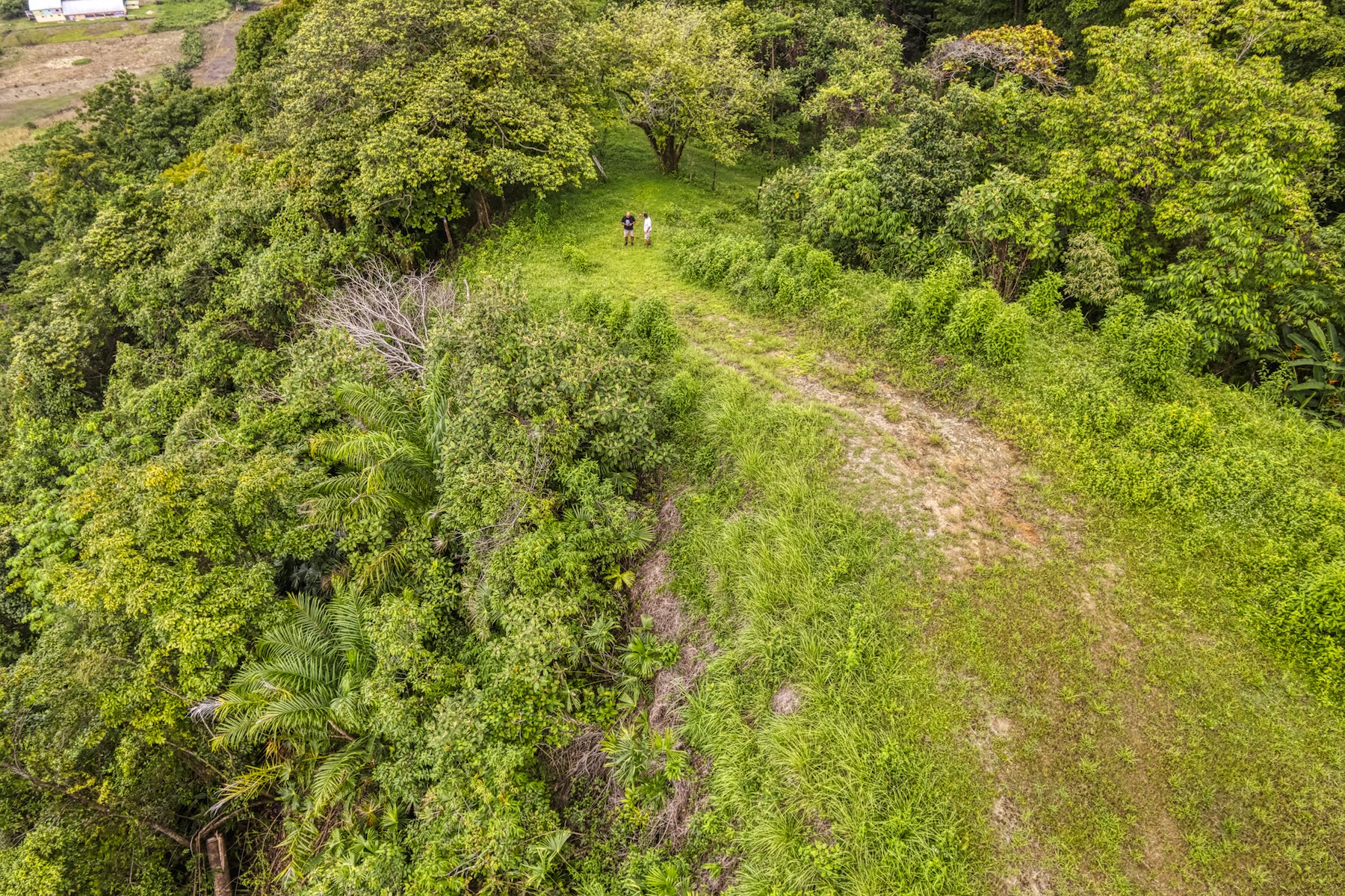LOT 4 WITH A LARGE BUILDING AREA AND MOUNTAIN VIEWS, IN TRES RÍOS