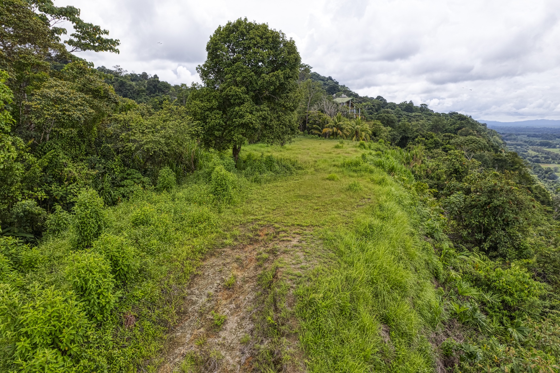LOT 4 WITH A LARGE BUILDING AREA AND MOUNTAIN VIEWS, IN TRES RÍOS