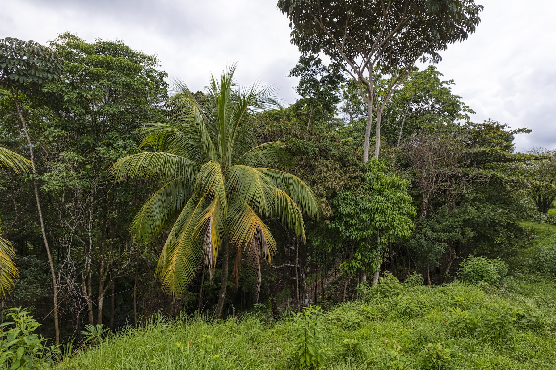 LOT 4 WITH A LARGE BUILDING AREA AND MOUNTAIN VIEWS, IN TRES RÍOS