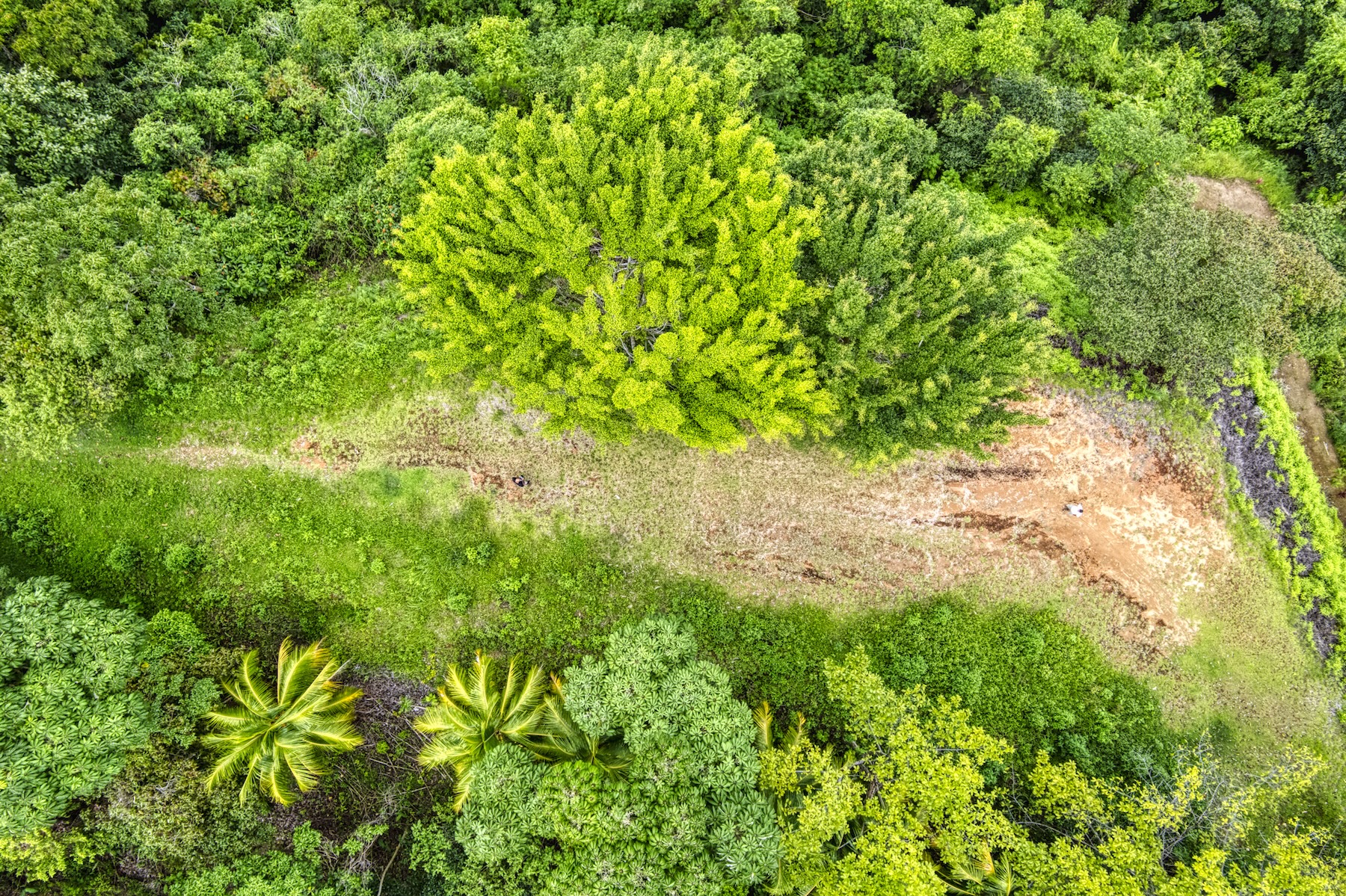 LOT 4 WITH A LARGE BUILDING AREA AND MOUNTAIN VIEWS, IN TRES RÍOS