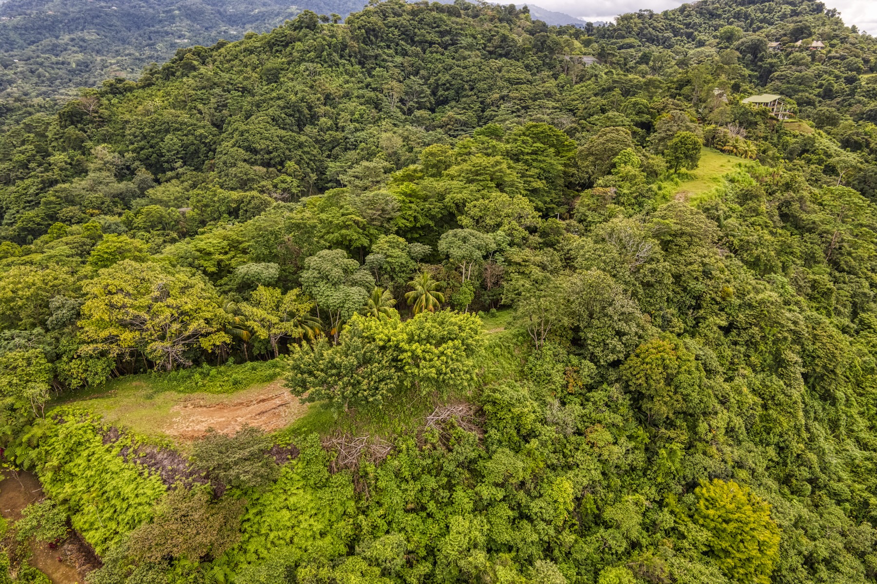 LOT 4 WITH A LARGE BUILDING AREA AND MOUNTAIN VIEWS, IN TRES RÍOS