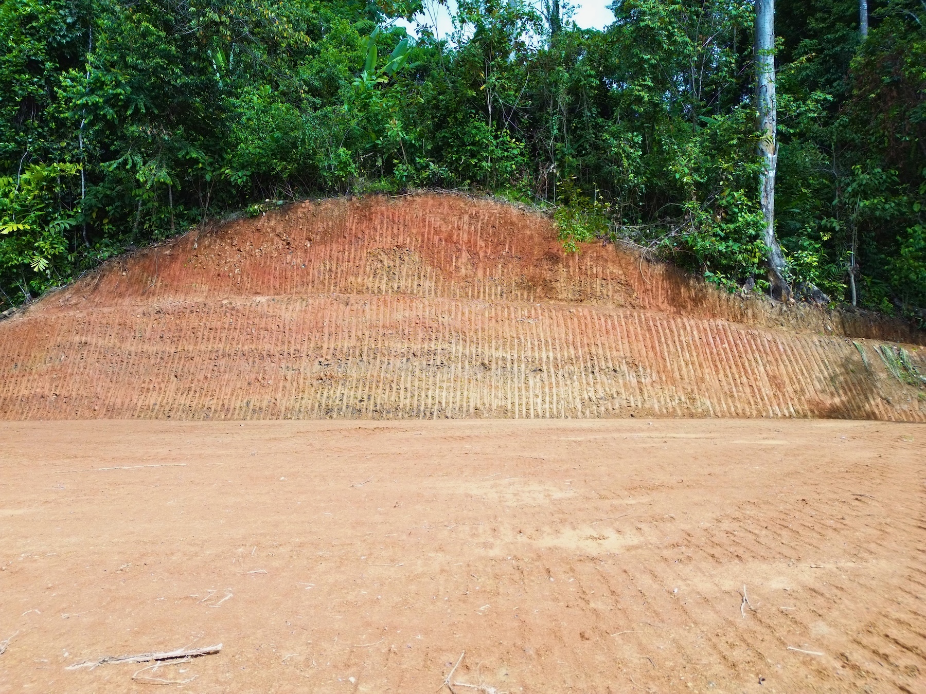 PRIVATE LOT WITH OCEAN AND TROPICAL RAINFOREST VIEWS, IN UVITA – 1.73 ACRES