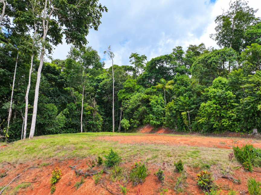 MOUNTAIN PROPERTY WITH VALLEY VIEWS, IN BARÚ – 2.85 ACRES