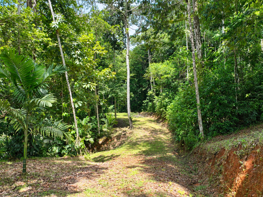 MOUNTAIN PROPERTY WITH VALLEY VIEWS, IN BARÚ – 2.85 ACRES