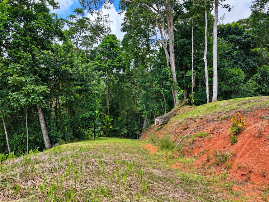 MOUNTAIN PROPERTY WITH VALLEY VIEWS, IN BARÚ – 2.85 ACRES