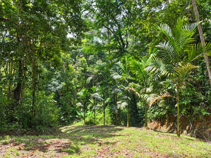 MOUNTAIN PROPERTY WITH VALLEY VIEWS, IN BARÚ – 2.85 ACRES