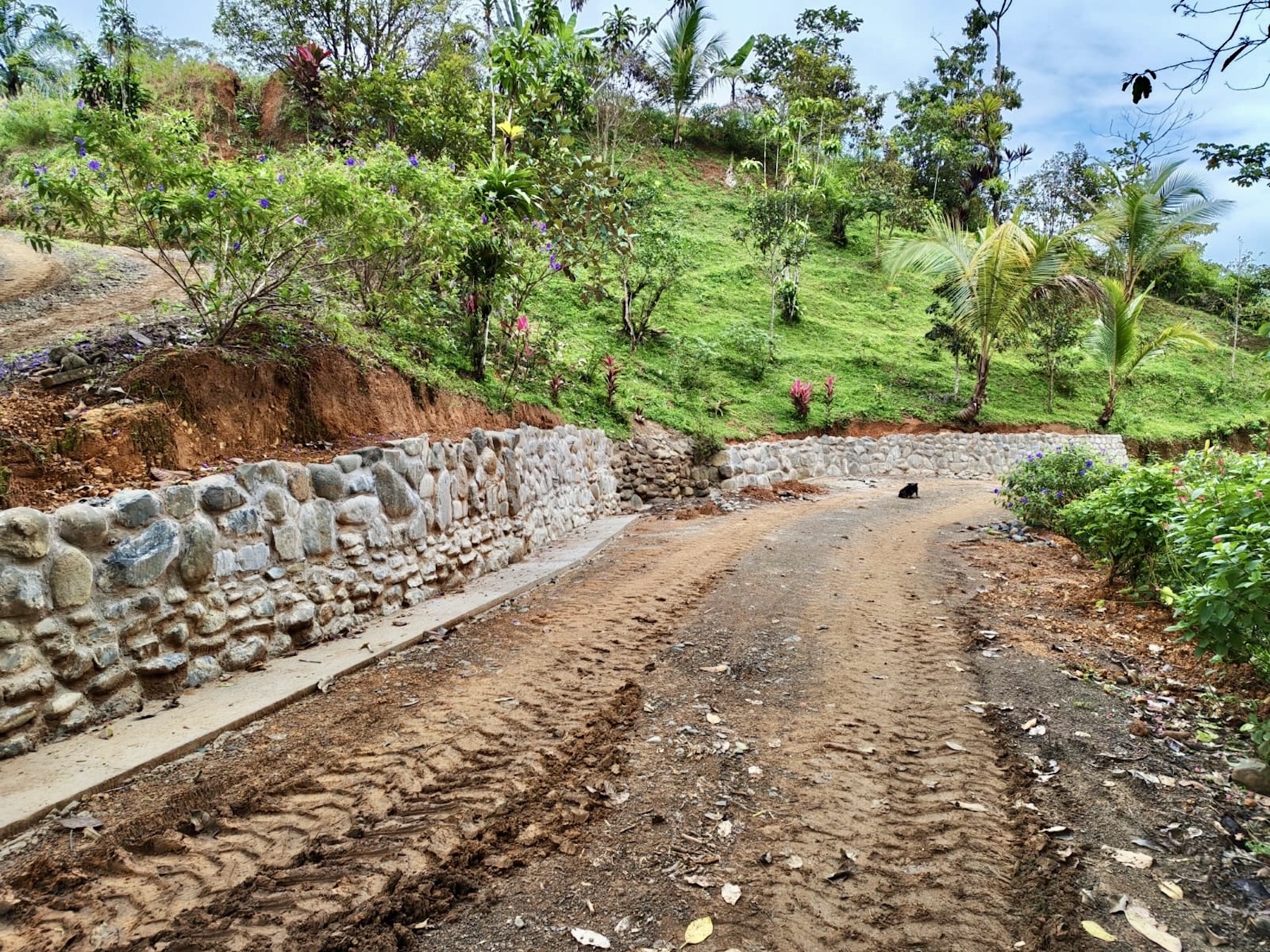 10-HECTARE PROPERTY IN THE MOUNTAINS OF SAN CRISTÓBAL DE AGUIRRE, NEAR TO SILENCIO
