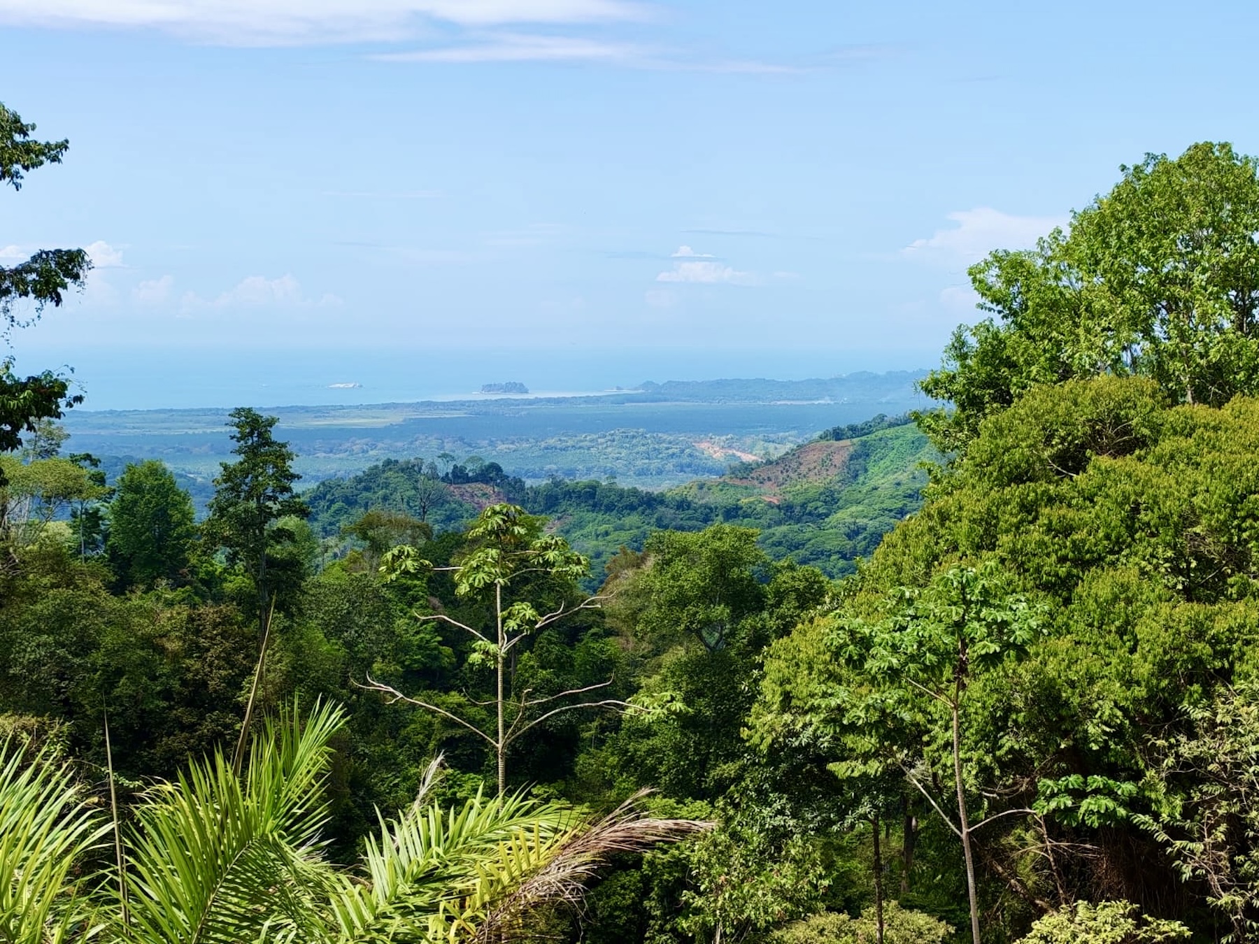 10-HECTARE PROPERTY IN THE MOUNTAINS OF SAN CRISTÓBAL DE AGUIRRE, NEAR TO SILENCIO