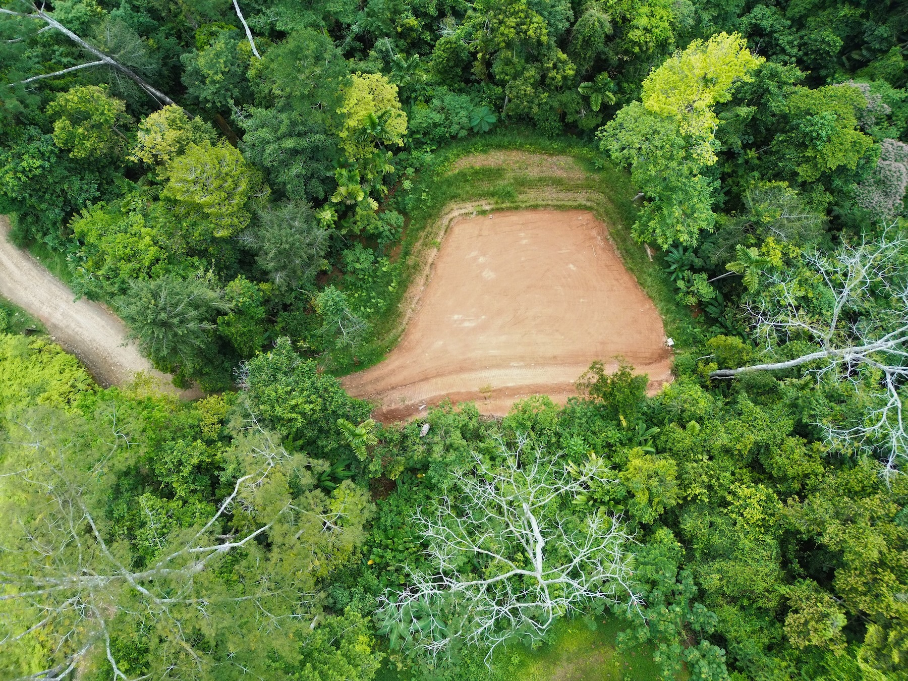PRIVATE LOT WITH OCEAN AND TROPICAL RAINFOREST VIEWS, IN UVITA – 1.73 ACRES