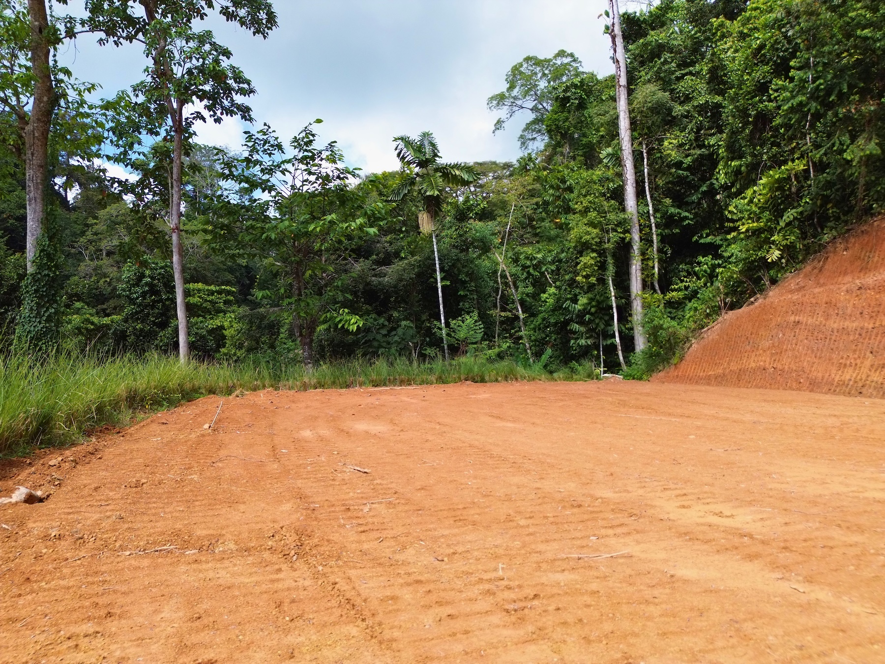 PRIVATE LOT WITH OCEAN AND TROPICAL RAINFOREST VIEWS, IN UVITA – 1.73 ACRES