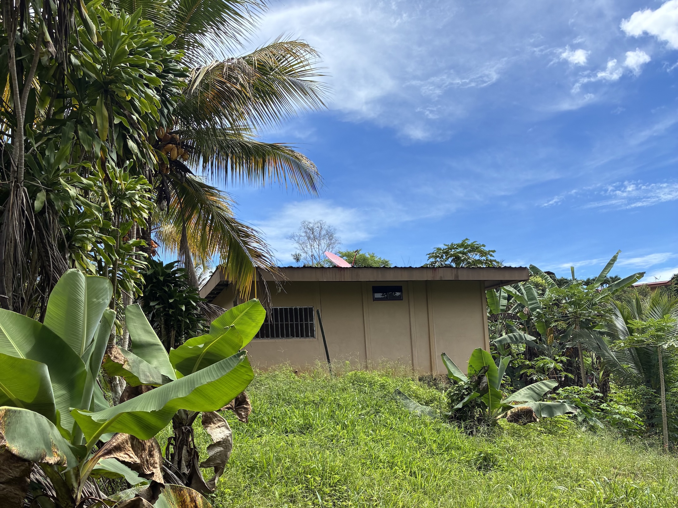 2.47-ACRE MOUNTAIN PROPERTY WITH AGRICULTURAL PRODUCTION, IN PÉREZ ZELEDÓN