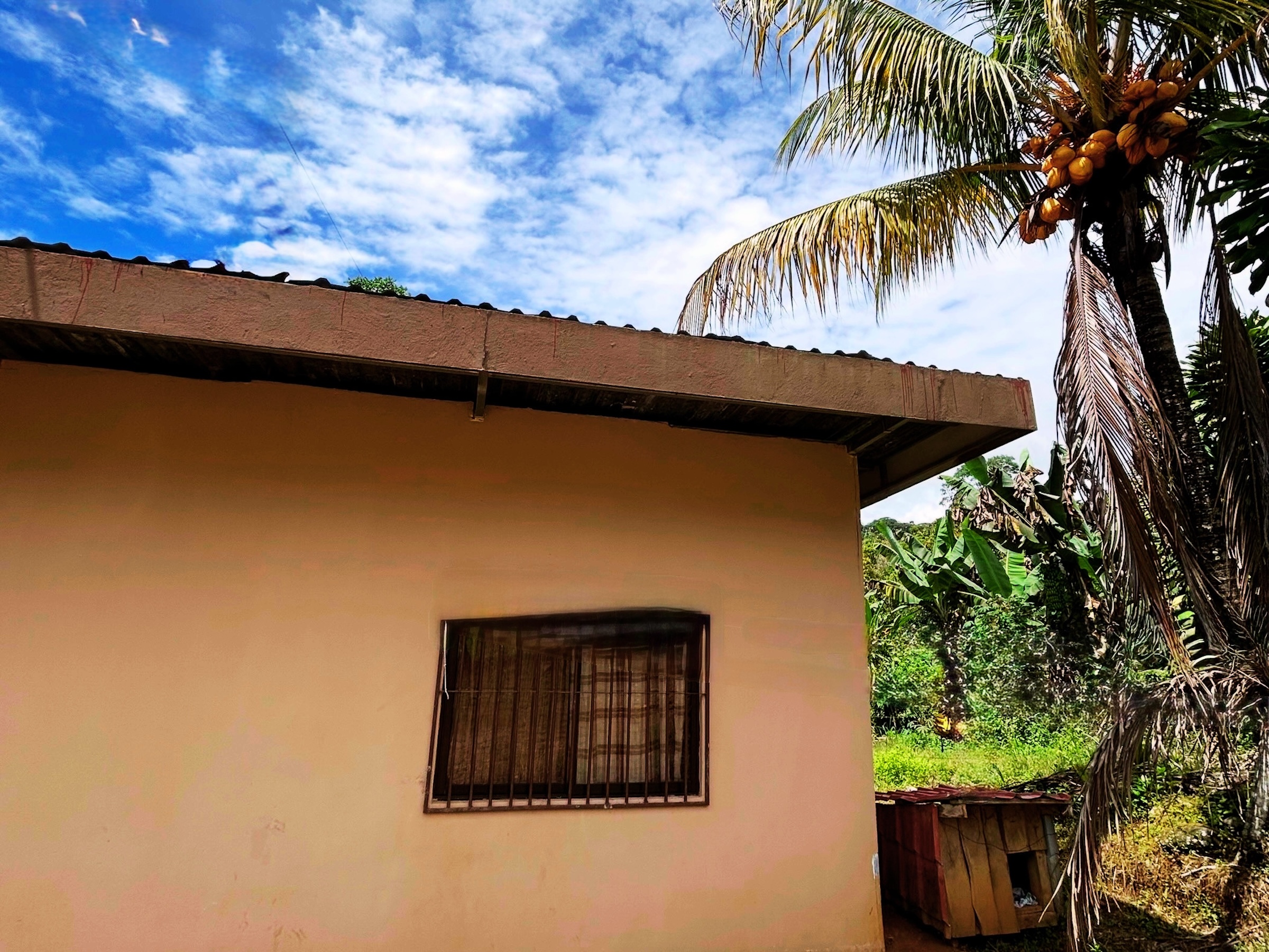 2.47-ACRE MOUNTAIN PROPERTY WITH AGRICULTURAL PRODUCTION, IN PÉREZ ZELEDÓN